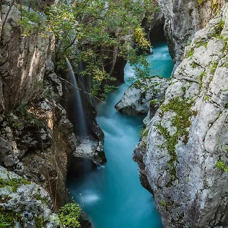 アパート Apbovec *